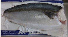 Sashimi grade yellow tail(Co treated)