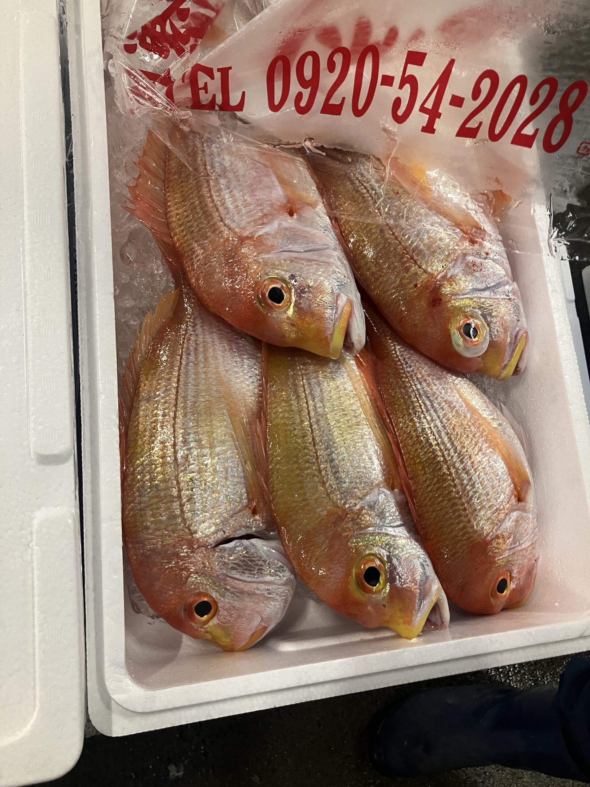 Fukuoka fish market